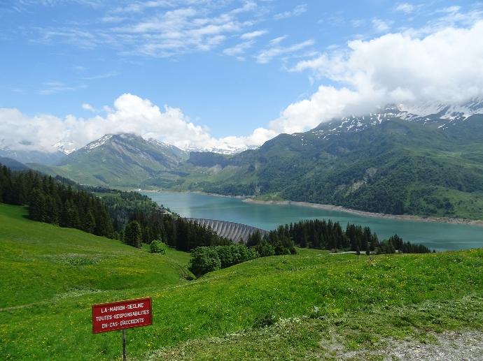 green trees on green grass field near lake under blue sky during daytime